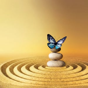 Mariposa sobre unas rocas