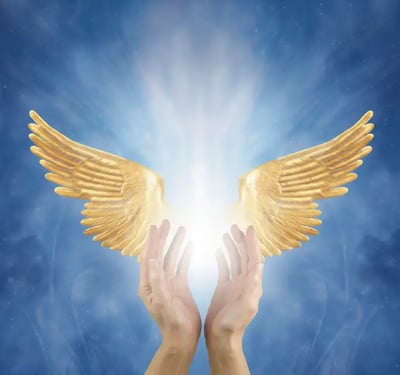 Manos sosteniendo alas